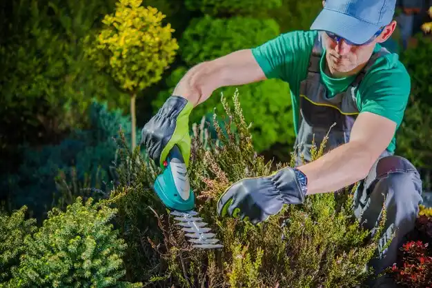 landscaping services Littleton Common